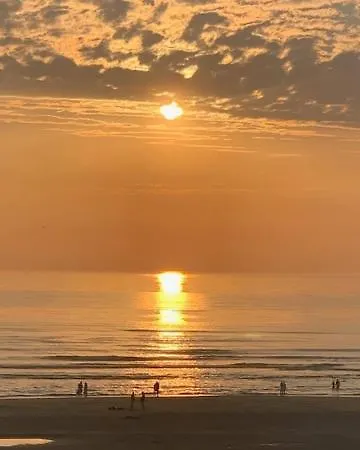 Meer-c