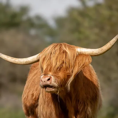 Meer-c Apartment Zandvoort